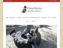 Tablet Screenshot of caninecollege.net